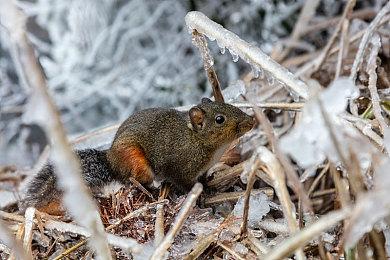 全新赛道！影核的废土朋克新游《狂野刃轮》再掀多人快节奏对战狂潮！